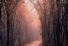 c罗几岁加盟皇马（c罗几岁加入国家队）